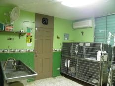Servicios veterinarios - Lomas Verdes Animal Hospital