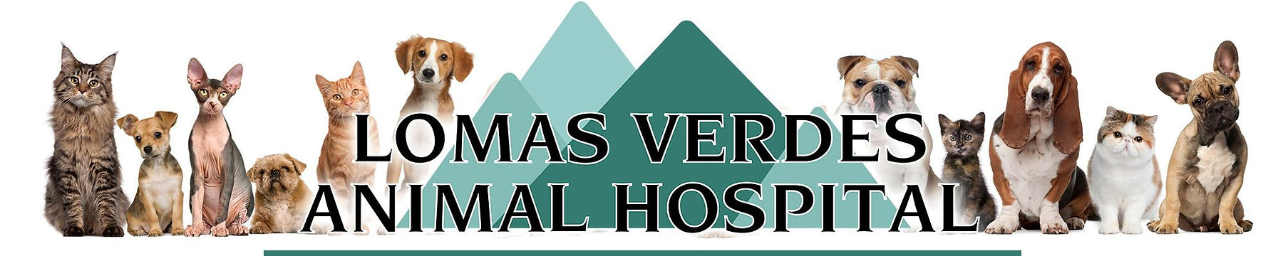 Servicios veterinarios - Lomas Verdes Animal Hospital
